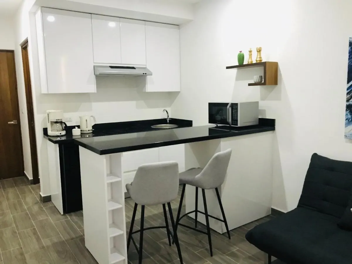 Edificio Vanessa 24 Studios Плая-дель-Кармен