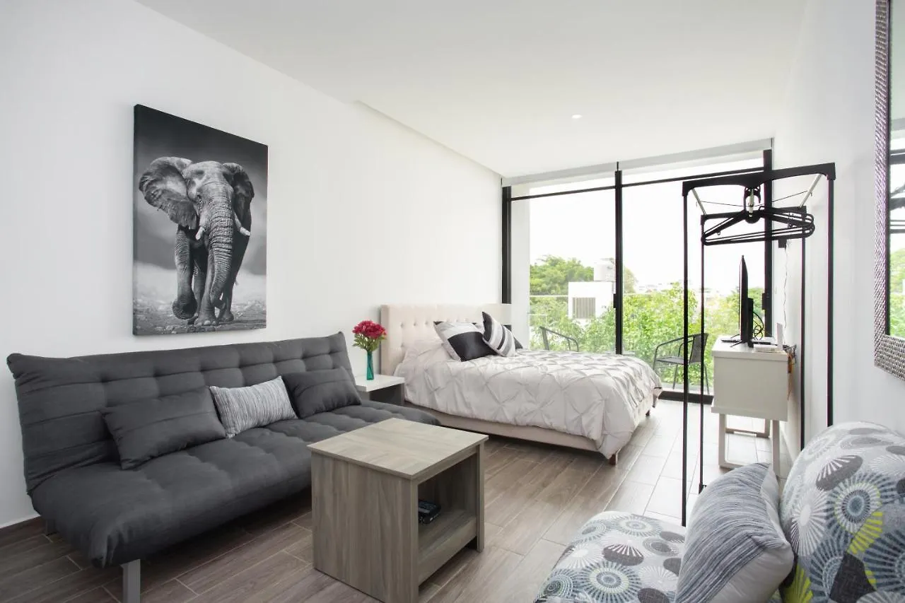 Appartement Edificio Vanessa 24 Studios Playa del Carmen